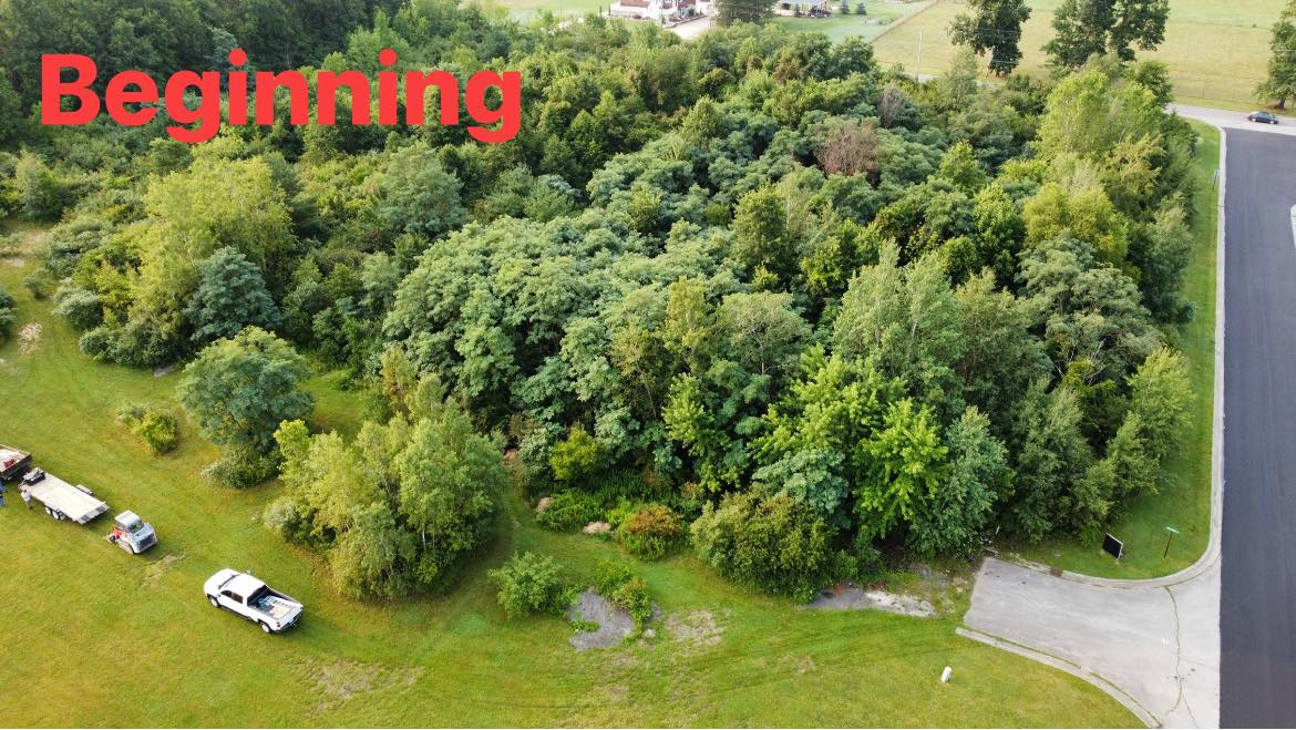 A dense patch of trees and shrubs beside a paved road, with parked vehicles on a grassy area; the word "Beginning" appears in large red text, hinting at upcoming land clearing.