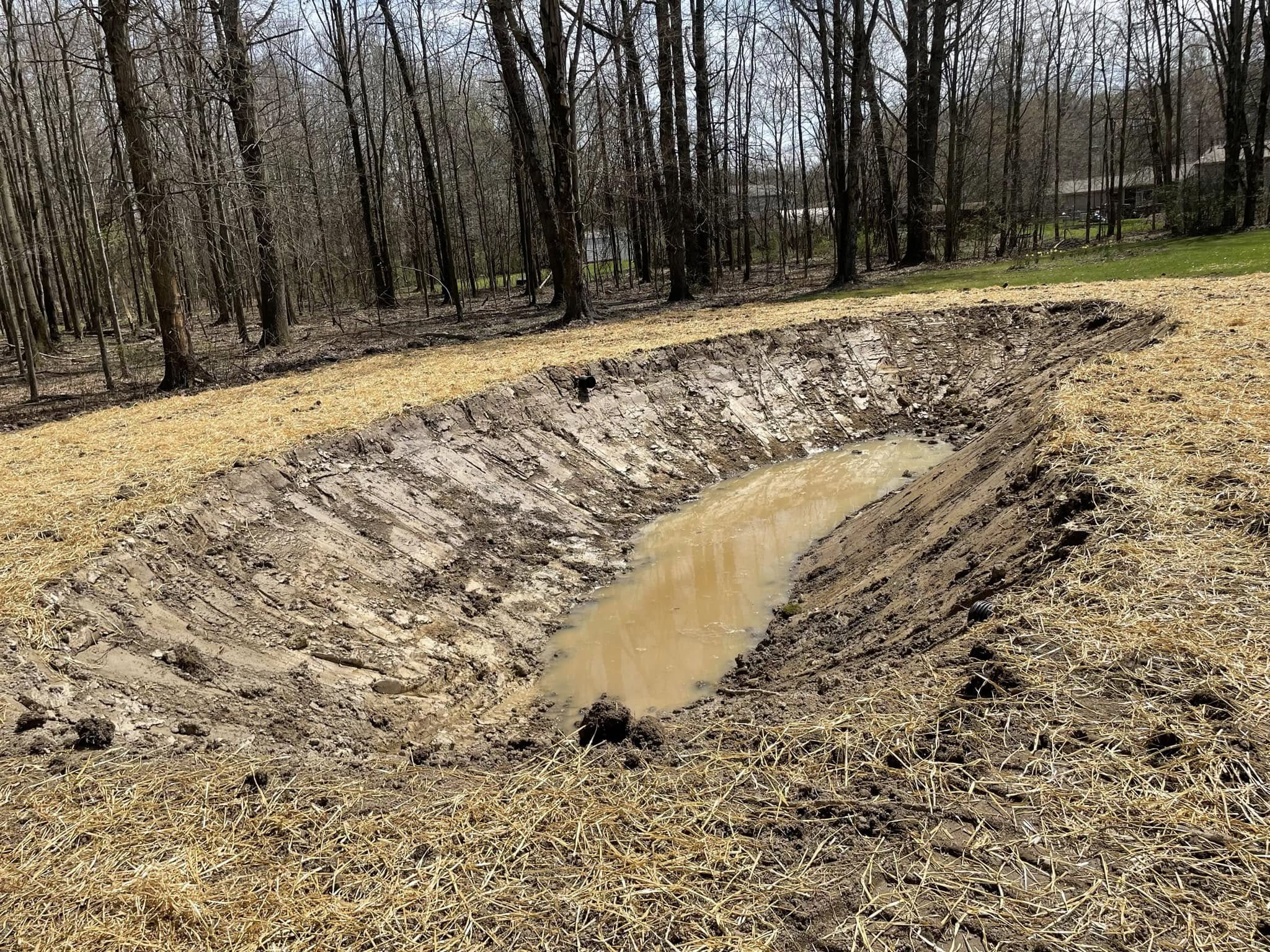 An oval-shaped, partially filled dirt pond surrounded by straw and trees in a wooded area.